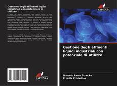 Gestione degli effluenti liquidi industriali con potenziale di utilizzo kitap kapağı