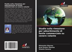 Portada del libro de Studio sulla rimozione per adsorbimento di fenile commerciale su cenere volante