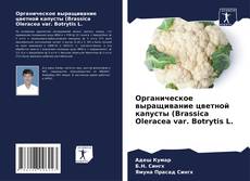 Borítókép a  Органическое выращивание цветной капусты (Brassica Oleracea var. Botrytis L. - hoz