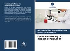 Grundausstattung im medizinischen Labor kitap kapağı