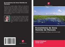 Portada del libro de Ecossistema da Zona Húmida da Manzala