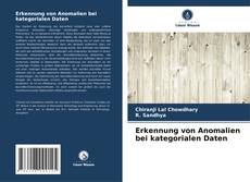 Couverture de Erkennung von Anomalien bei kategorialen Daten