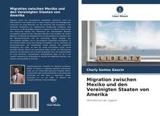 Couverture de Migration zwischen Mexiko und den Vereinigten Staaten von Amerika