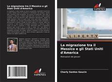 Bookcover of La migrazione tra il Messico e gli Stati Uniti d'America