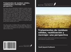 Couverture de Tratamientos de residuos sólidos, reutilización y reciclaje: una perspectiva