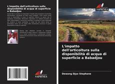 Portada del libro de L'impatto dell'orticoltura sulla disponibilità di acqua di superficie a Babadjou