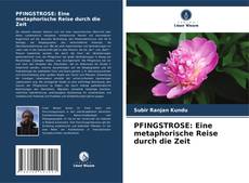 PFINGSTROSE: Eine metaphorische Reise durch die Zeit的封面