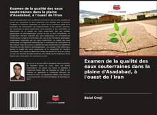 Bookcover of Examen de la qualité des eaux souterraines dans la plaine d'Asadabad, à l'ouest de l'Iran