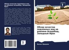 Borítókép a  Обзор качества подземных вод на равнине Асадабад, Западный Иран - hoz