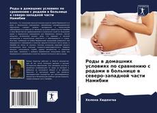 Bookcover of Роды в домашних условиях по сравнению с родами в больнице в северо-западной части Намибии