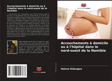 Capa do livro de Accouchements à domicile ou à l'hôpital dans le nord-ouest de la Namibie 