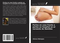 Buchcover von Partos en casa frente a partos en hospital en el noroeste de Namibia