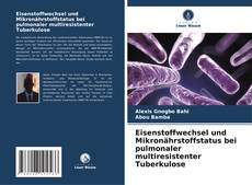 Bookcover of Eisenstoffwechsel und Mikronährstoffstatus bei pulmonaler multiresistenter Tuberkulose