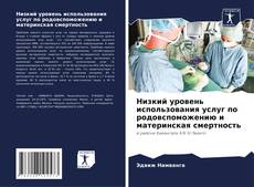 Bookcover of Низкий уровень использования услуг по родовспоможению и материнская смертность