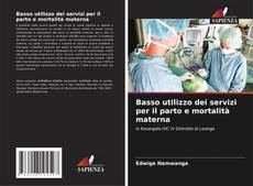 Portada del libro de Basso utilizzo dei servizi per il parto e mortalità materna