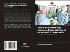 Capa do livro de Faible utilisation des services d'accouchement et mortalité maternelle 