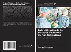 Bookcover of Baja utilización de los servicios de parto y mortalidad materna