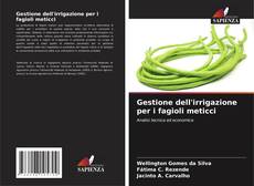 Portada del libro de Gestione dell'irrigazione per i fagioli meticci