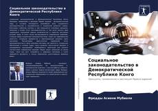 Borítókép a  Социальное законодательство в Демократической Республике Конго - hoz