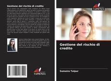 Portada del libro de Gestione del rischio di credito