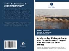 Analyse der Untersuchung der Umweltauswirkungen des Kraftwerks Belo Monte的封面