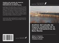 Обложка Análisis del estudio de impacto ambiental de la central hidroeléctrica de Belo Monte