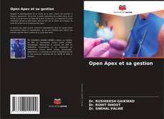 Open Apex et sa gestion kitap kapağı