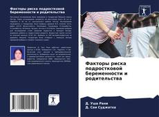 Bookcover of Факторы риска подростковой беременности и родительства