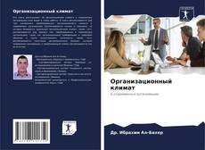 Организационный климат kitap kapağı