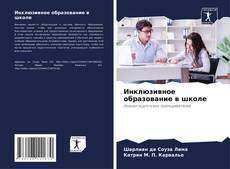 Инклюзивное образование в школе kitap kapağı