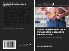 Bookcover of Genes relacionados con el metabolismo energético en la obesidad