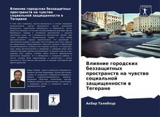 Bookcover of Влияние городских беззащитных пространств на чувство социальной защищенности в Тегеране