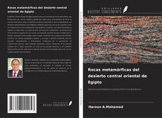 Borítókép a  Rocas metamórficas del desierto central oriental de Egipto - hoz