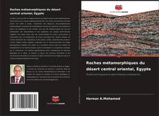 Roches métamorphiques du désert central oriental, Égypte kitap kapağı