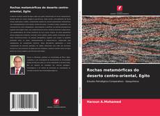 Portada del libro de Rochas metamórficas do deserto centro-oriental, Egito