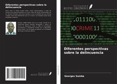 Обложка Diferentes perspectivas sobre la delincuencia