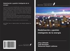 Couverture de Modelización y gestión inteligente de la energía