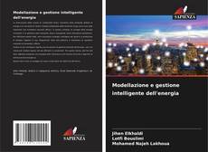 Modellazione e gestione intelligente dell'energia kitap kapağı