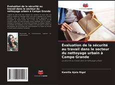 Évaluation de la sécurité au travail dans le secteur du nettoyage urbain à Campo Grande kitap kapağı