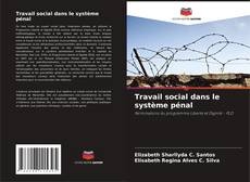 Travail social dans le système pénal kitap kapağı