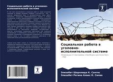 Социальная работа в уголовно-исполнительной системе kitap kapağı