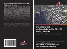 Portada del libro de Vulnerabilità ambientale sulla BR-101 Nord, Brasile