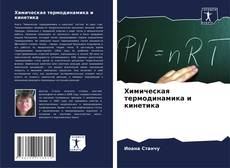 Химическая термодинамика и кинетика kitap kapağı