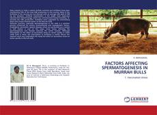 FACTORS AFFECTING SPERMATOGENESIS IN MURRAH BULLS kitap kapağı