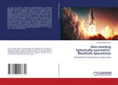 Buchcover von Non-rotating Spherically-symmetric Blackhole Spacetimes