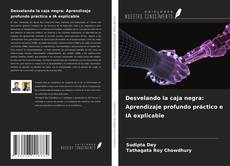 Copertina di Desvelando la caja negra: Aprendizaje profundo práctico e IA explicable