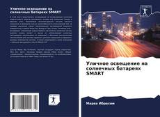 Уличное освещение на солнечных батареях SMART kitap kapağı