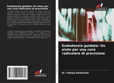 Endodonzia guidata: Un aiuto per una cura radicolare di precisione kitap kapağı