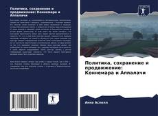 Политика, сохранение и продвижение: Коннемара и Аппалачи kitap kapağı