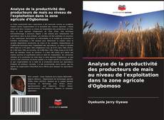 Bookcover of Analyse de la productivité des producteurs de maïs au niveau de l'exploitation dans la zone agricole d'Ogbomoso